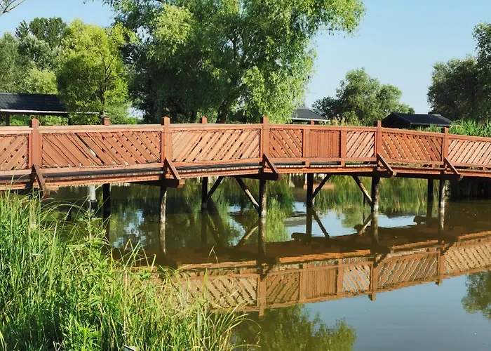 Retai Edit Szieszta